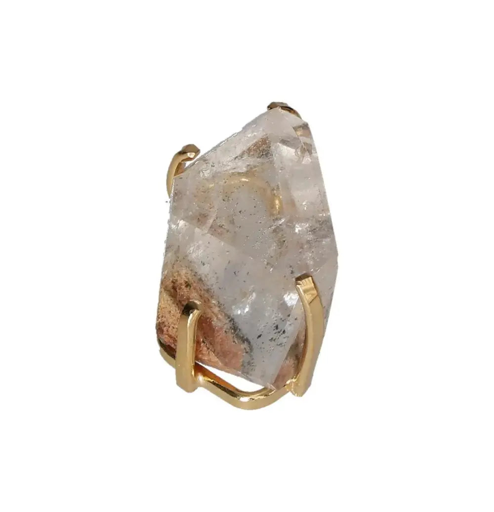 orbitvu|type:image2d