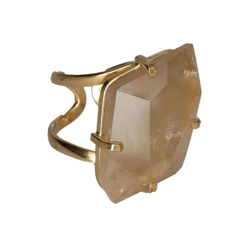 orbitvu|type:image2d