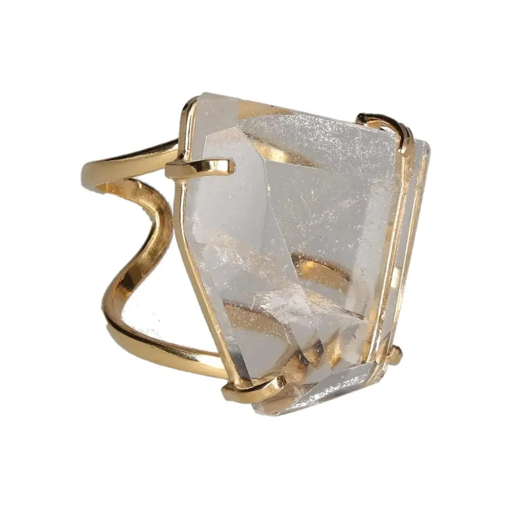 orbitvu|type:image2d