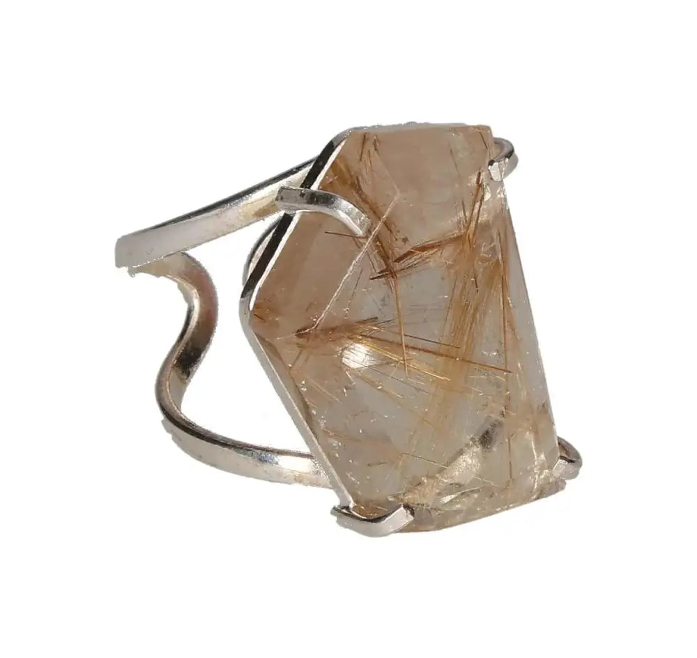 orbitvu|type:image2d