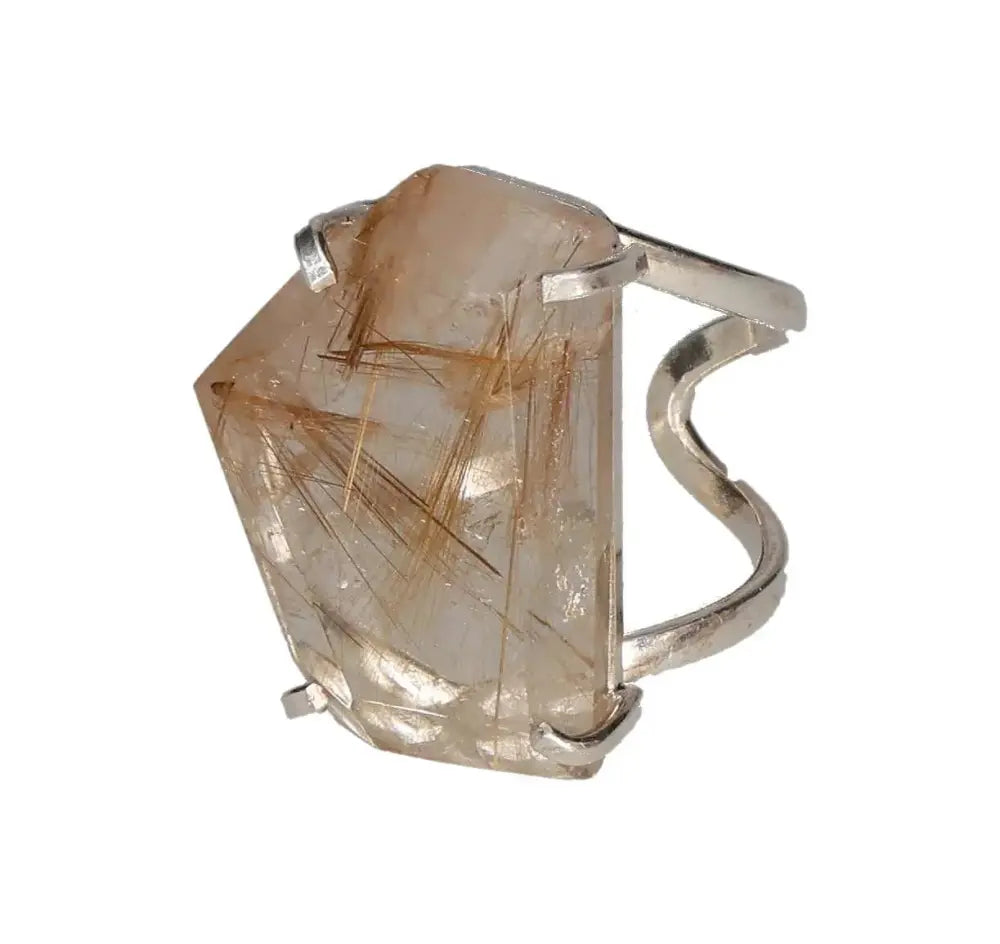 orbitvu|type:image2d