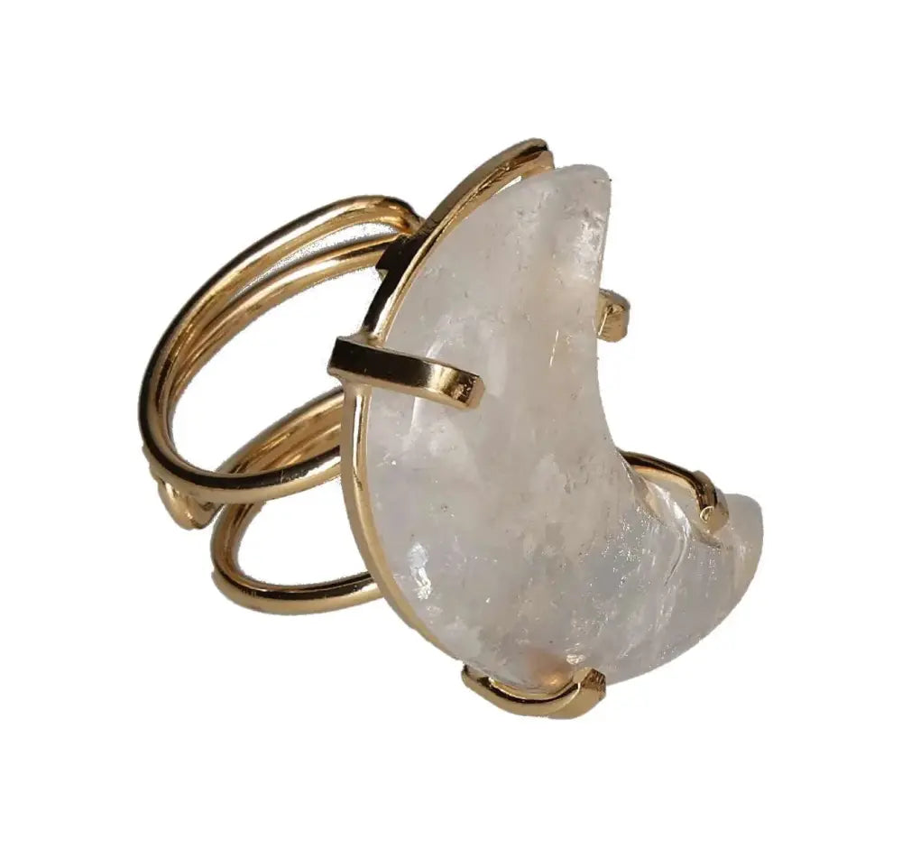 orbitvu|type:image2d