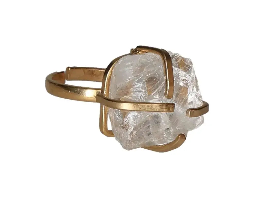 orbitvu|type:image2d