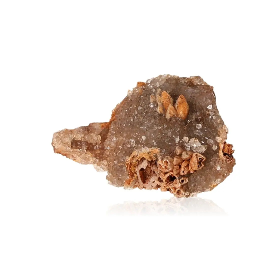 Quartz Stalactite from Sylvia Crystals, enhancing space and style with natural beauty and metaphysical energy.