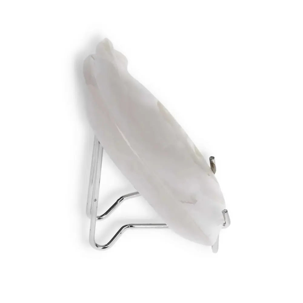 orbitvu|type:image2d