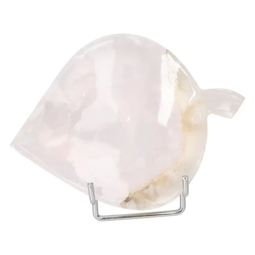 orbitvu|type:ORBITVU 360|https://orbitvu.co/share/8FnRcKGQoSyfSnxrEjvJ2o/6505389/360/iframe