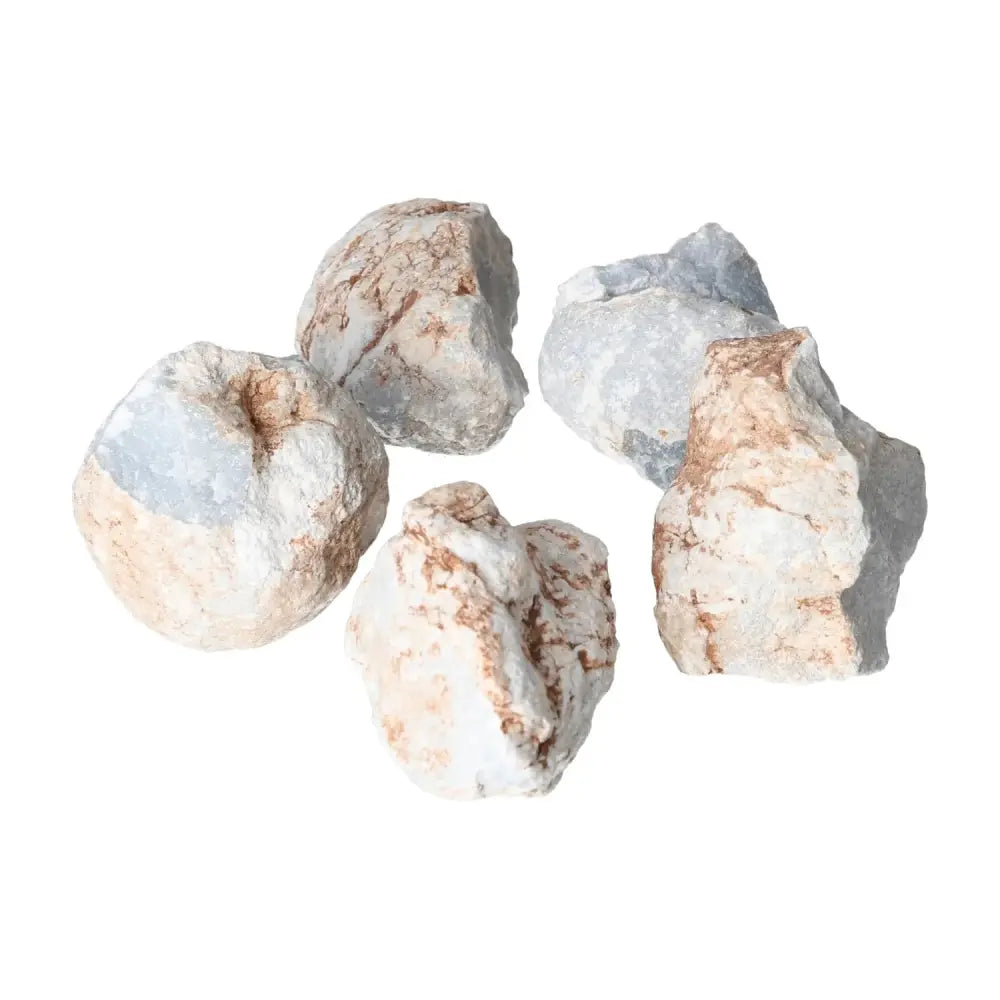 Five Rough Angelite stones from Sylvia Crystals on a white background, showcasing their natural blue hues and unique textures.