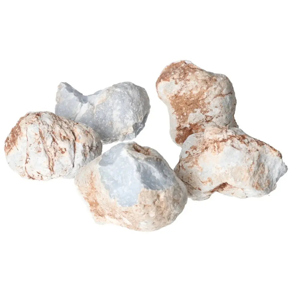 Five Rough Angelite stones from Sylvia Crystals, known for promoting tranquility, compassion, and connection to the angelic realm.