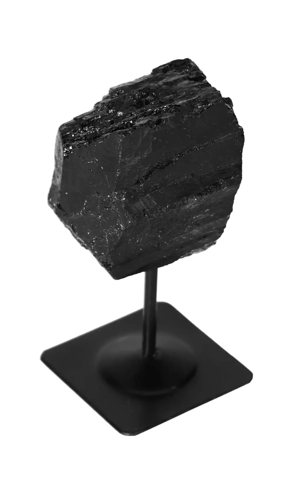 orbitvu|type:image2d