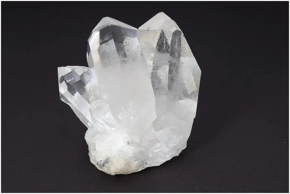 orbitvu|type:image2d