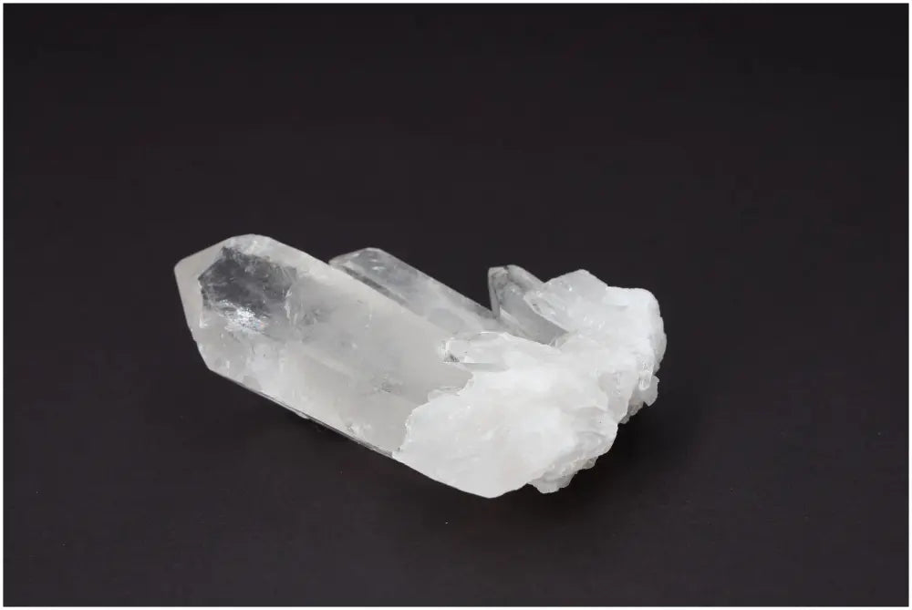 orbitvu|type:image2d