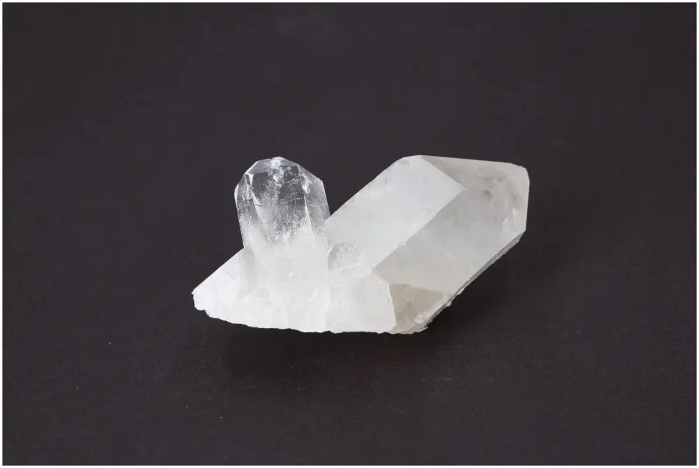 orbitvu|type:image2d