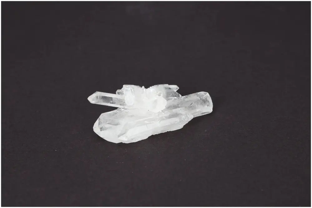 orbitvu|type:image2d