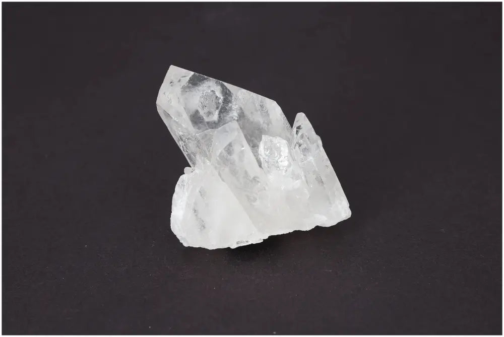 orbitvu|type:image2d