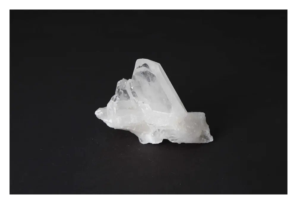 orbitvu|type:image2d