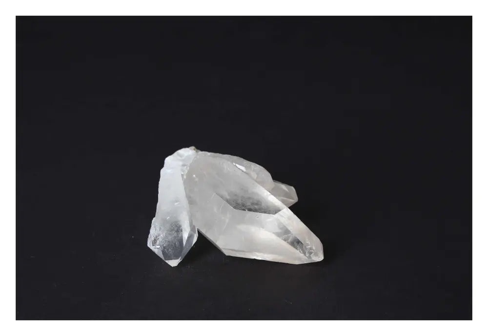 orbitvu|type:image2d