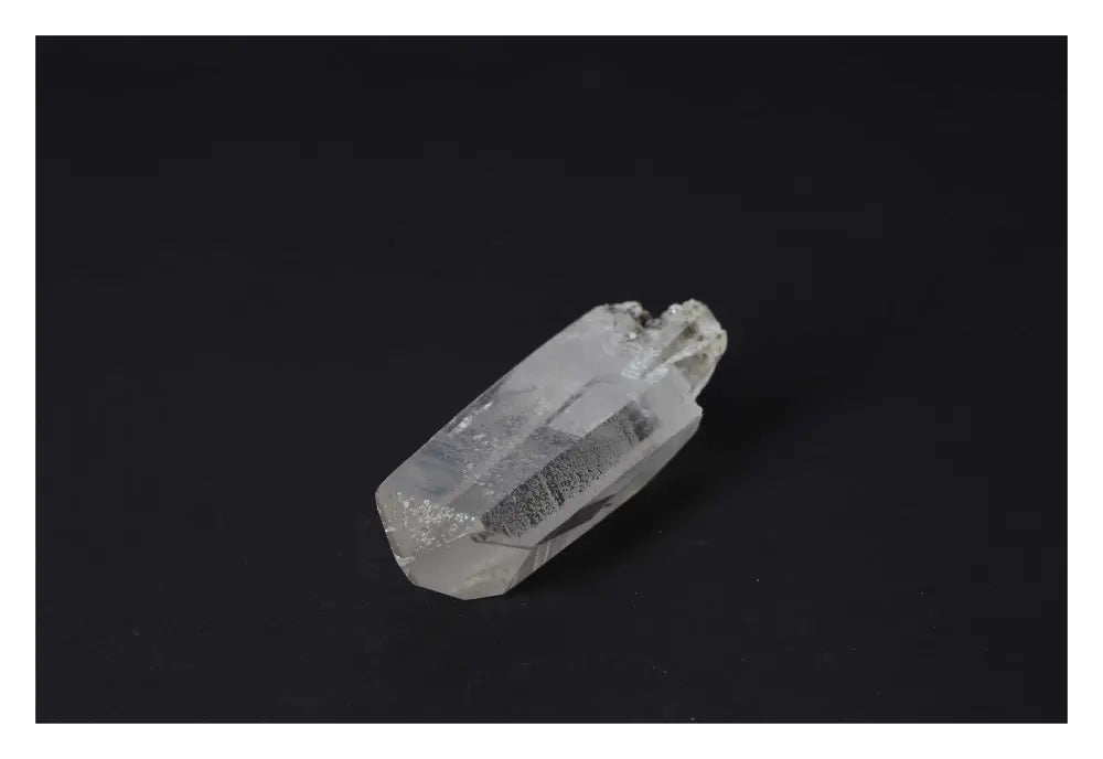 orbitvu|type:image2d