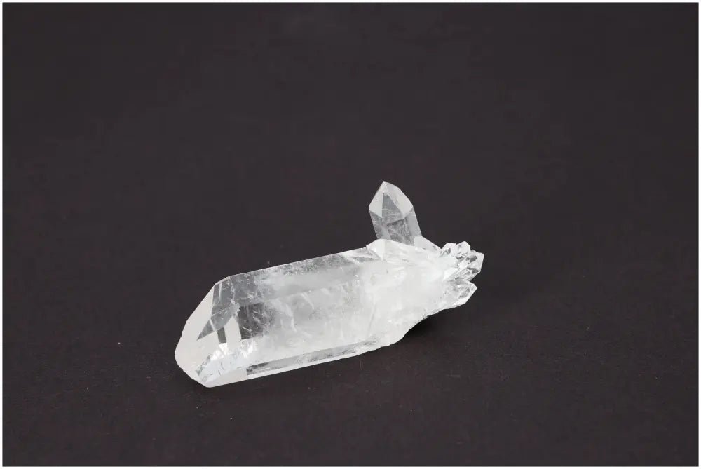 orbitvu|type:image2d