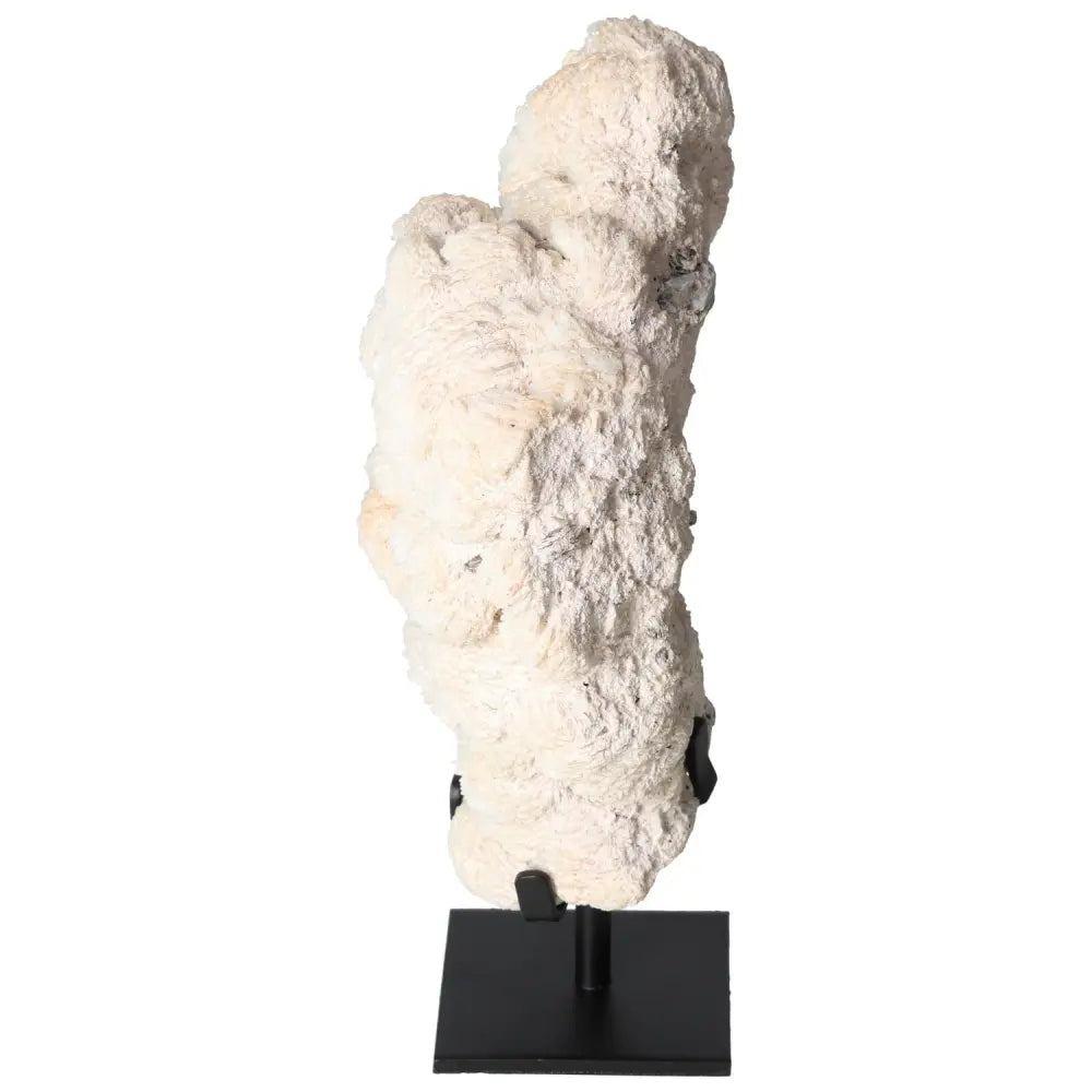 Rough Mica with Albite on Metal Stand from Sylvia Crystals, featuring a natural, handpicked mineral display for spiritual and decorative purposes.