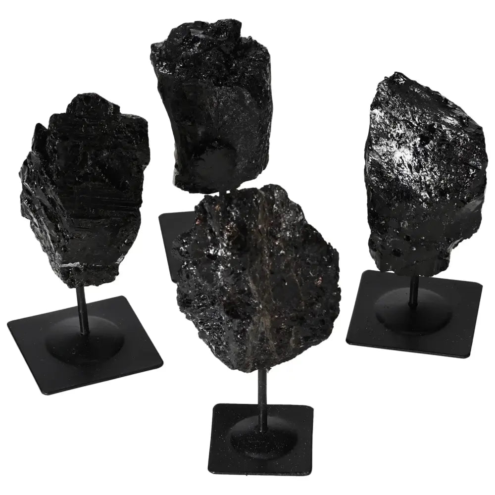 orbitvu|type:image2d