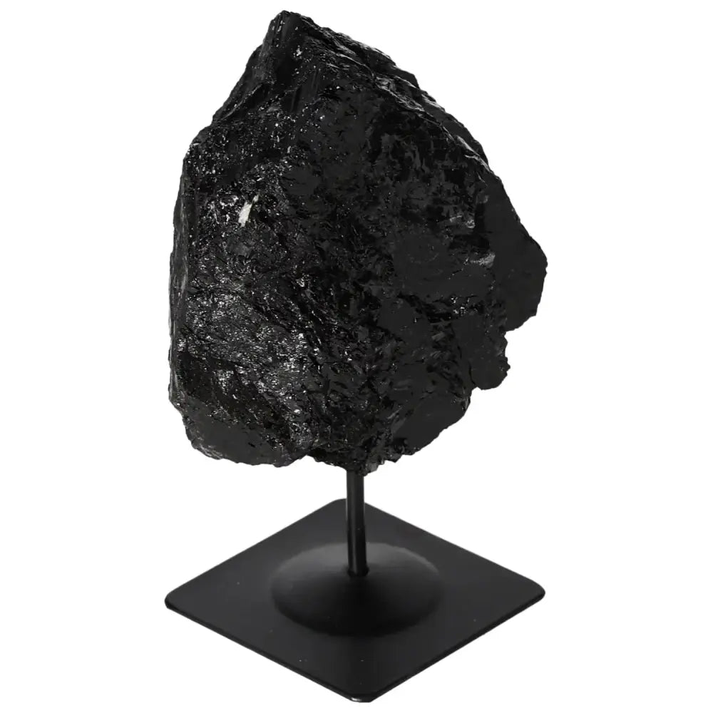 orbitvu|type:image2d