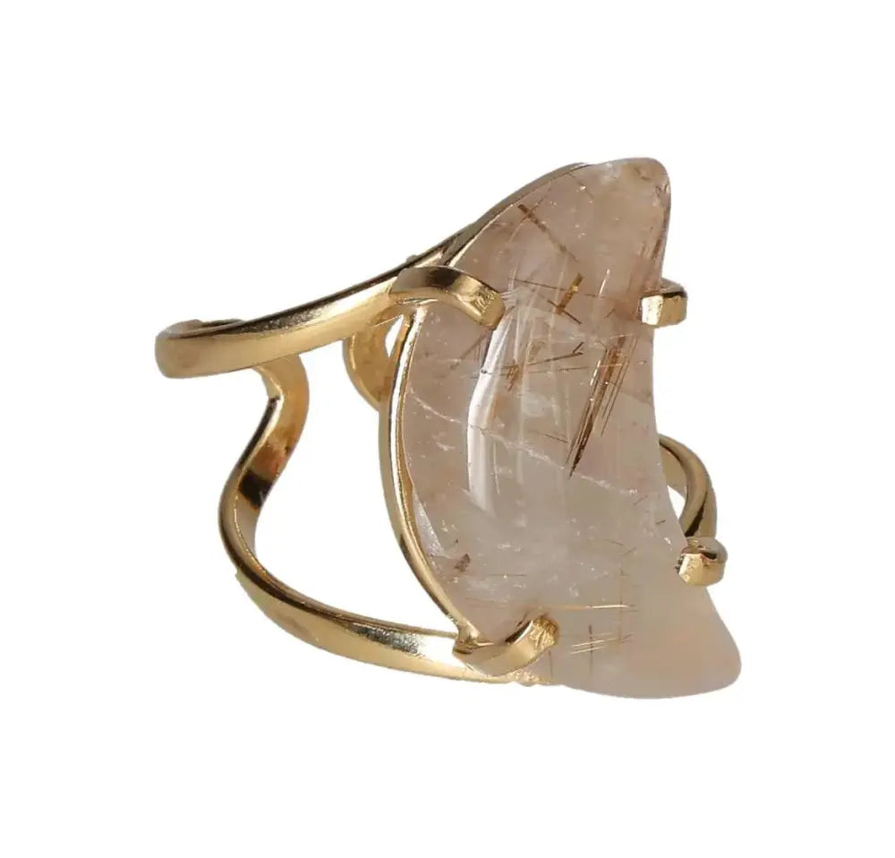 orbitvu|type:image2d