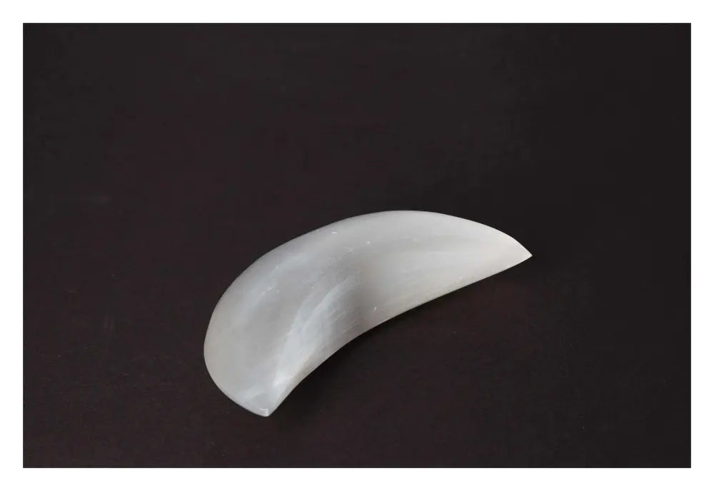 orbitvu|type:image2d