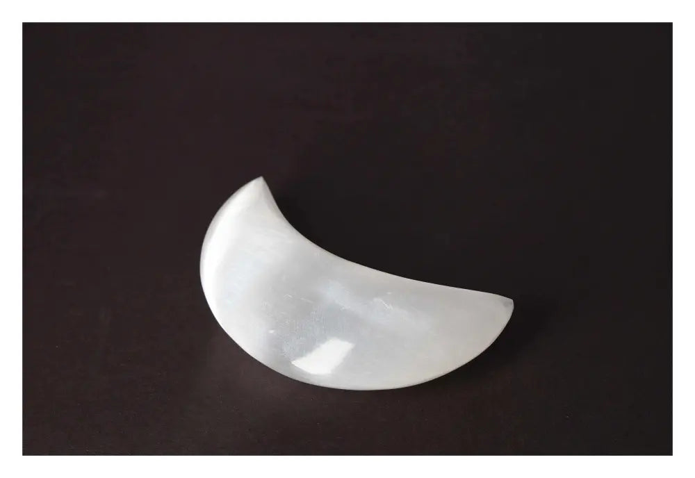 orbitvu|type:image2d