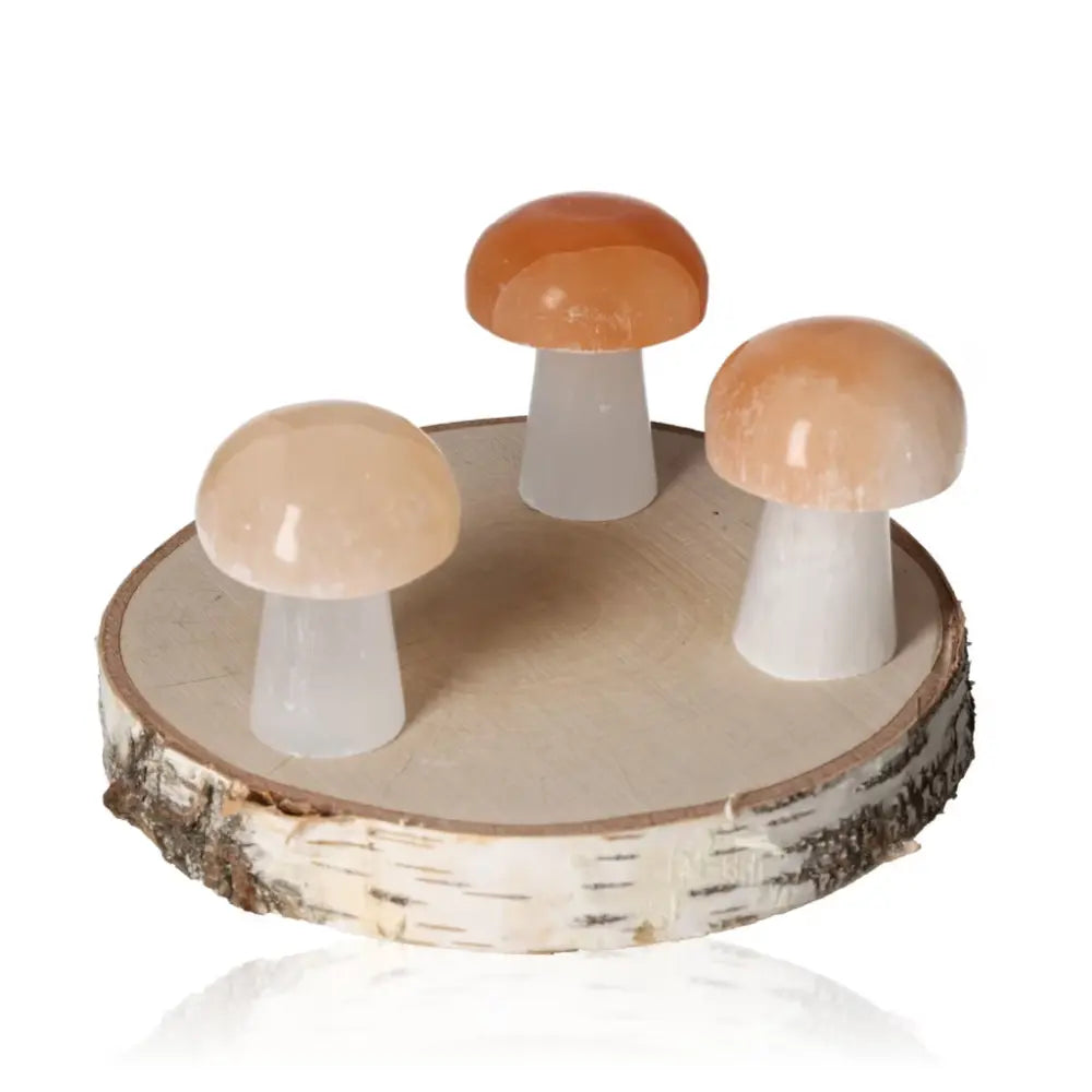 orbitvu|type:ORBITVU 360|https://orbitvu.co/share/VG8WCKXfWBtxMLCSMoQTV3/6459332/360/iframe