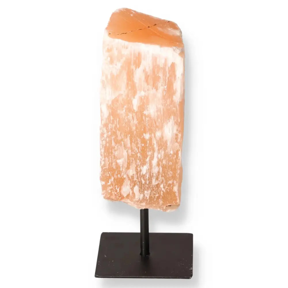 orbitvu|type:image2d