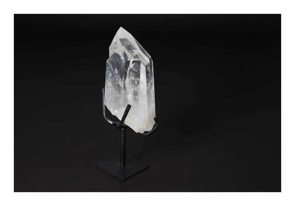 orbitvu|type:image2d