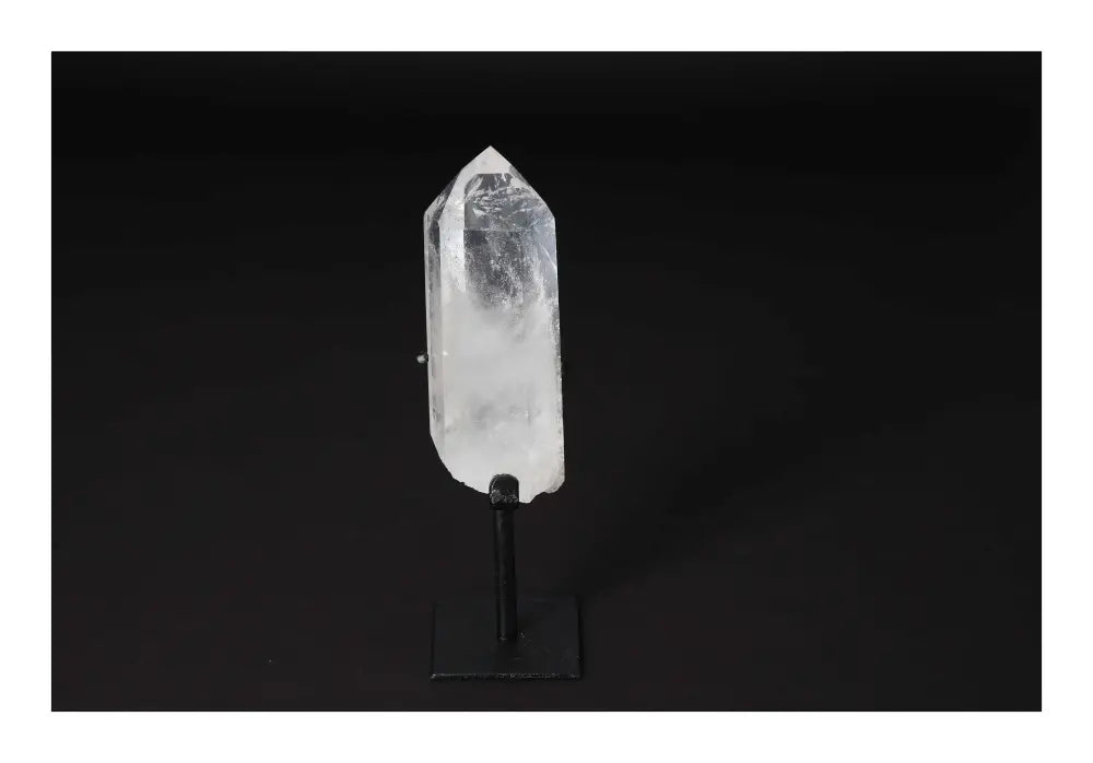 orbitvu|type:image2d