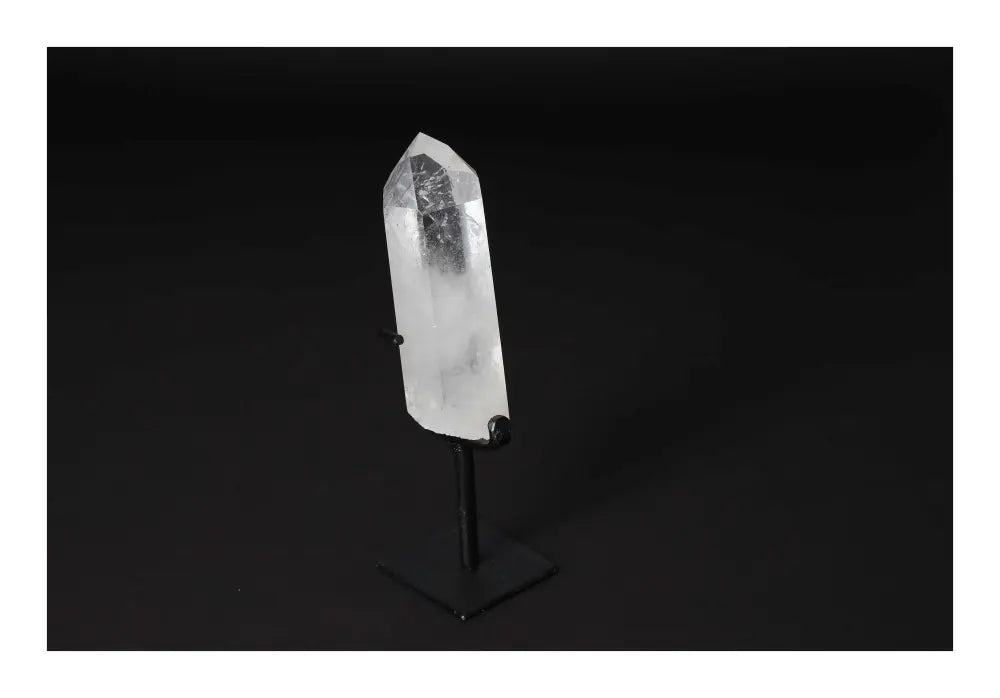 orbitvu|type:image2d