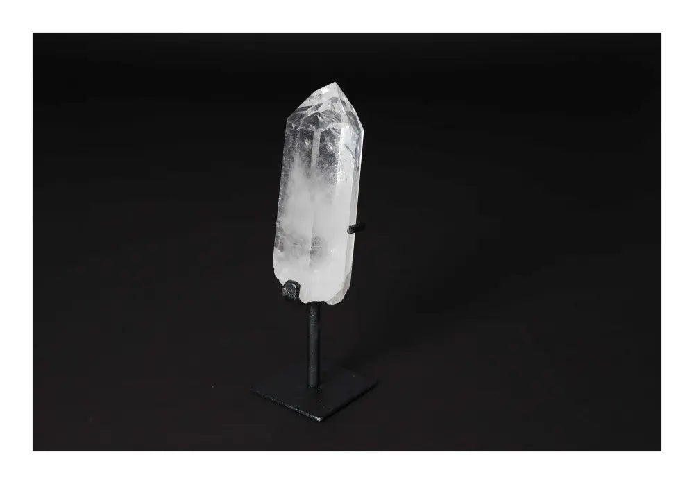 orbitvu|type:image2d