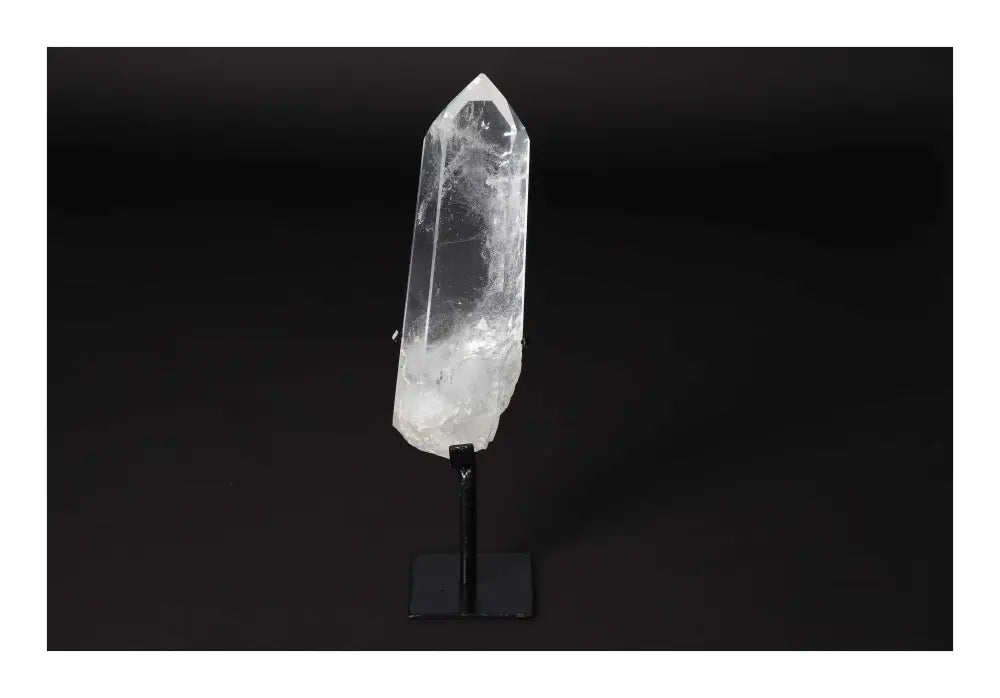 orbitvu|type:image2d