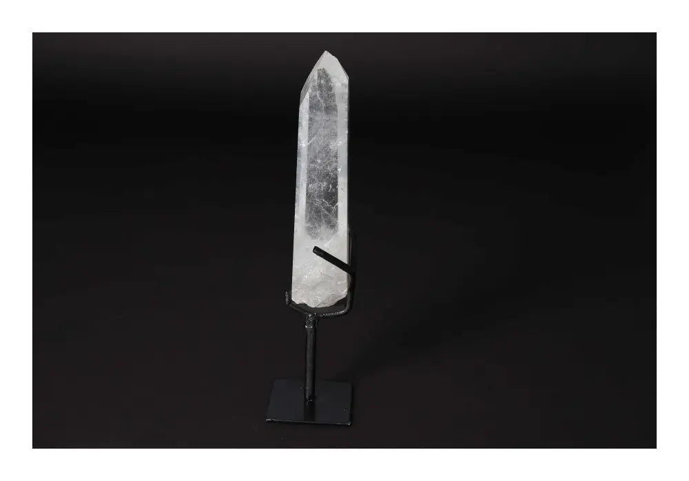 orbitvu|type:image2d