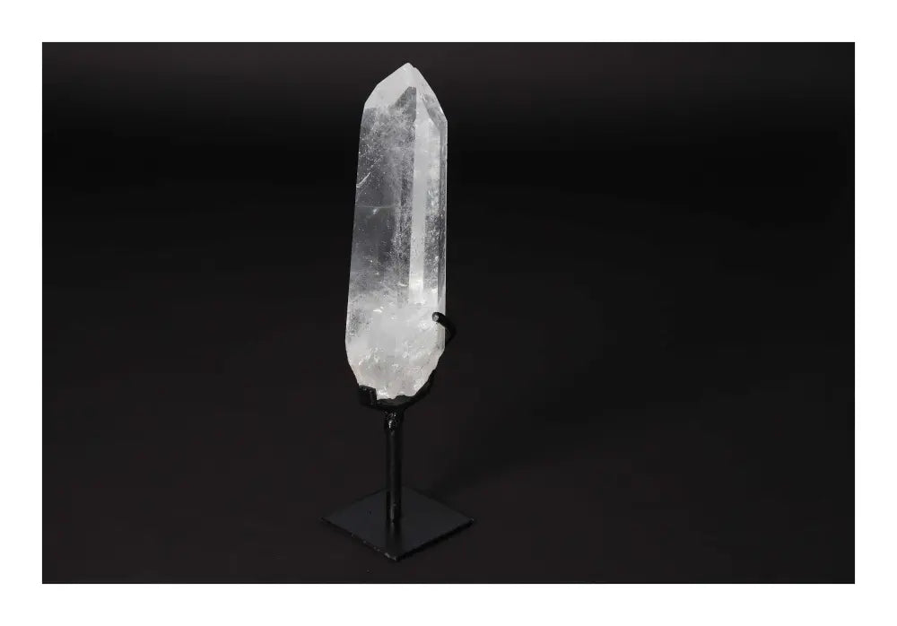 orbitvu|type:image2d