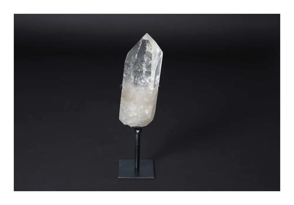 orbitvu|type:image2d