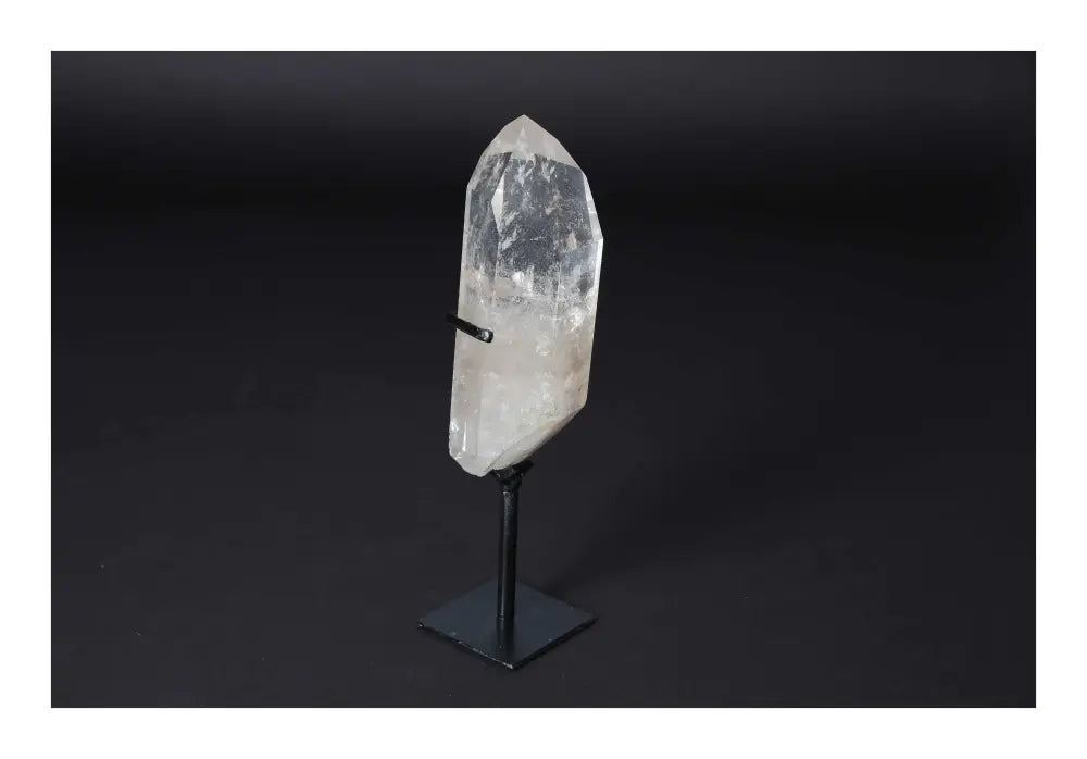 orbitvu|type:image2d