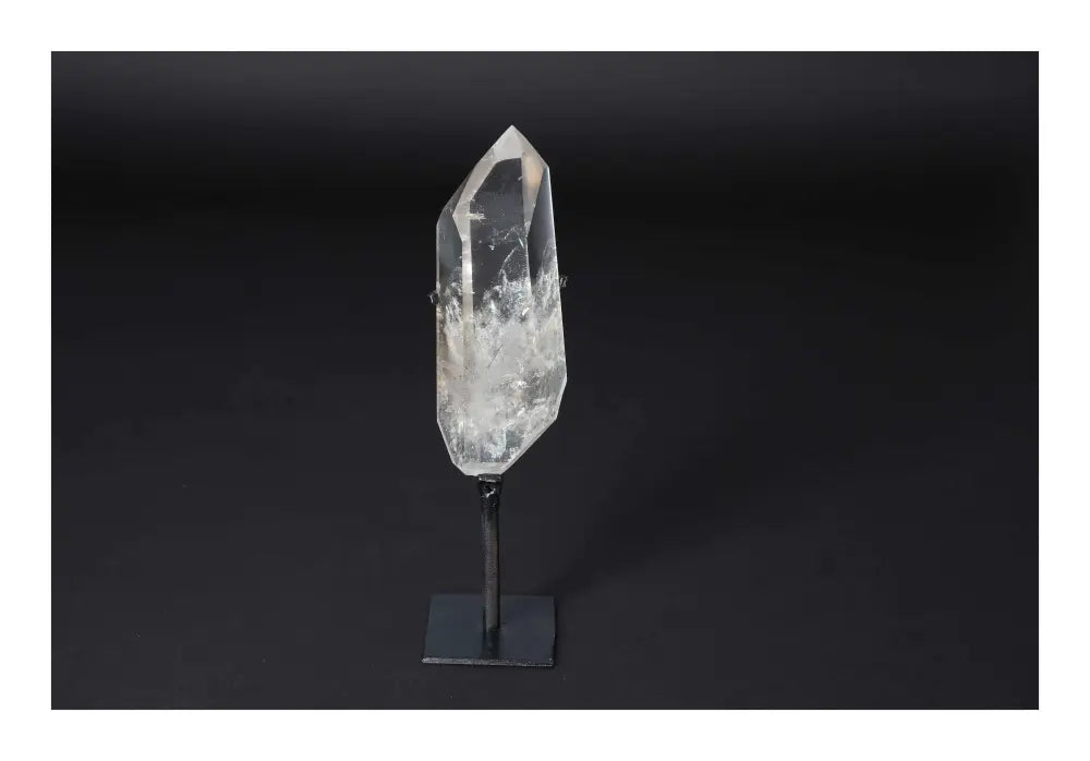 orbitvu|type:image2d