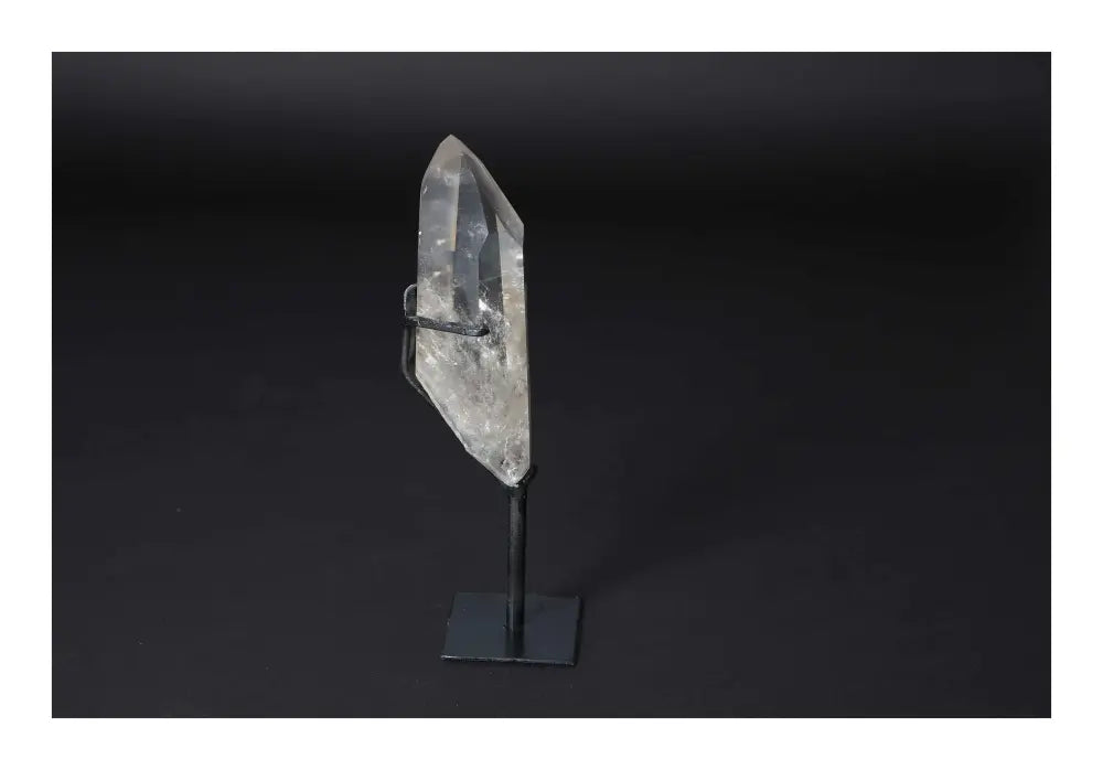 orbitvu|type:image2d