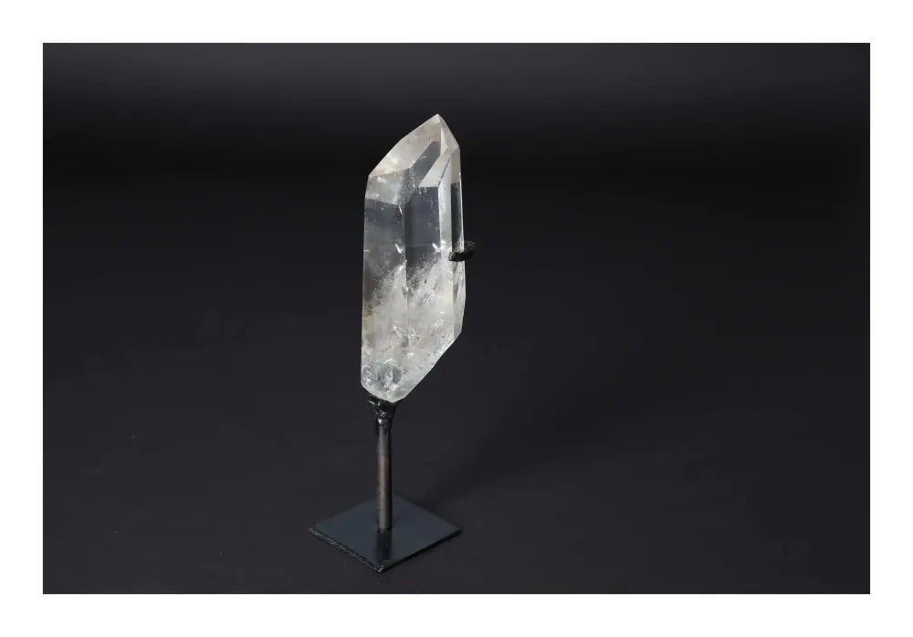 orbitvu|type:image2d