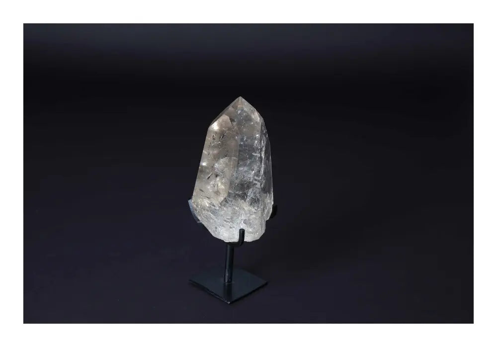 orbitvu|type:image2d