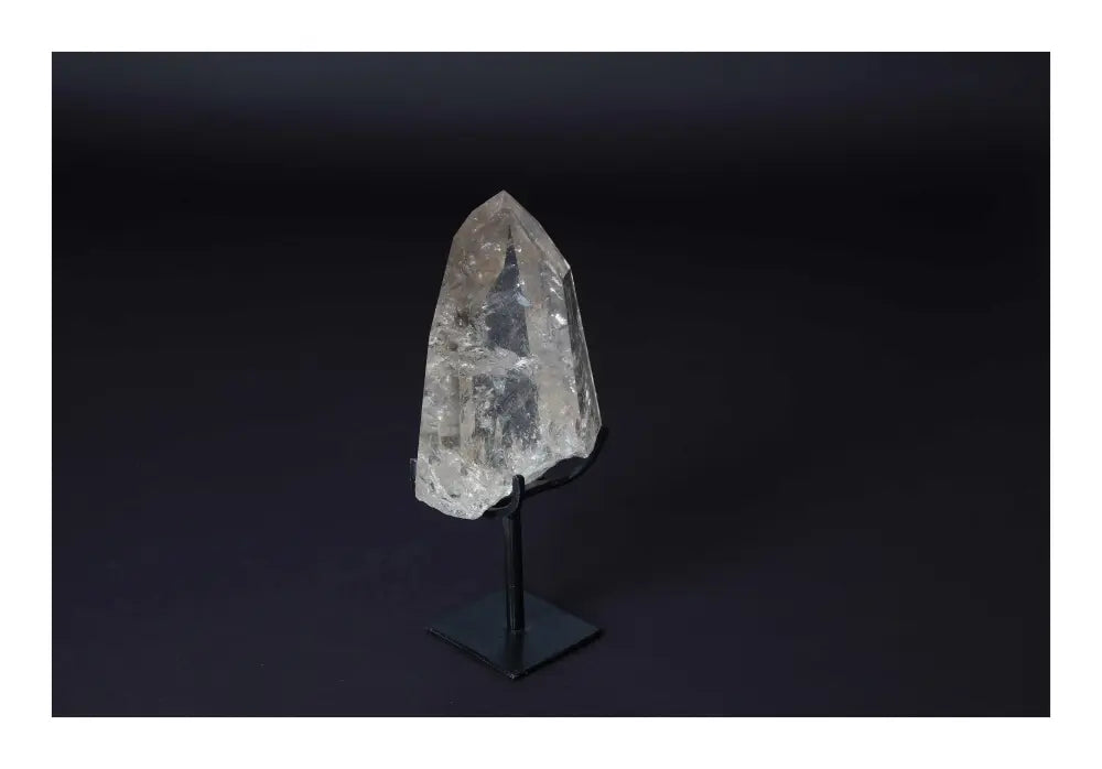 orbitvu|type:image2d