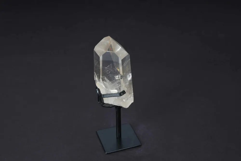 orbitvu|type:image2d