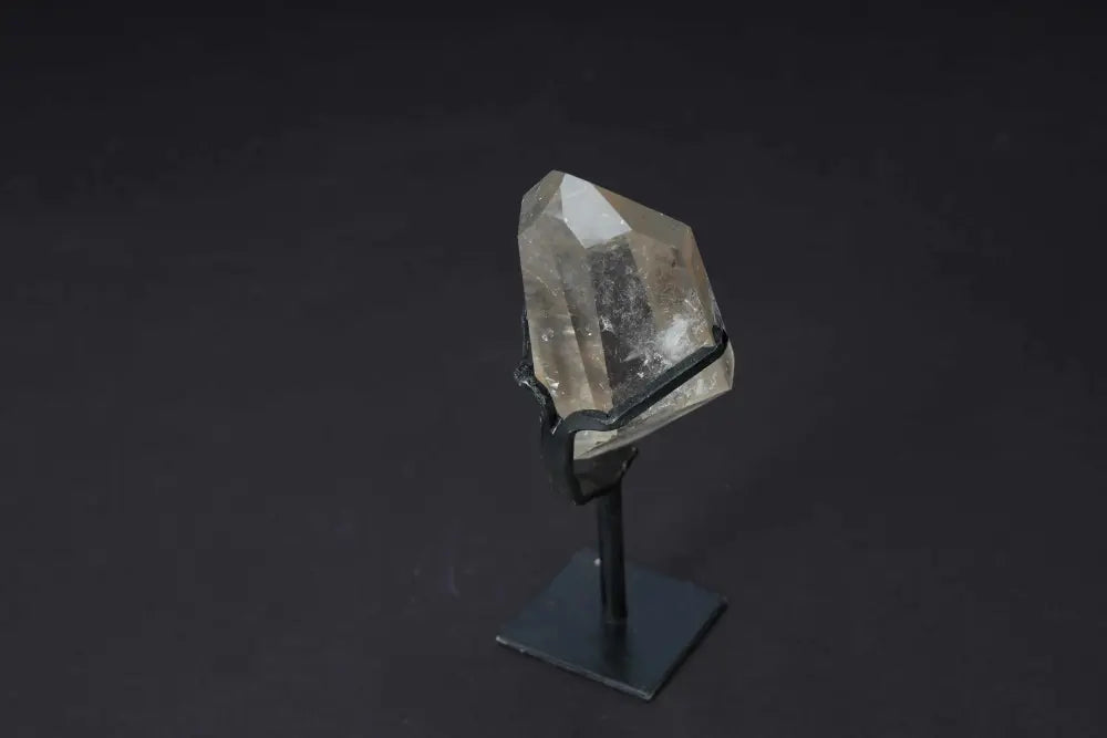 orbitvu|type:image2d