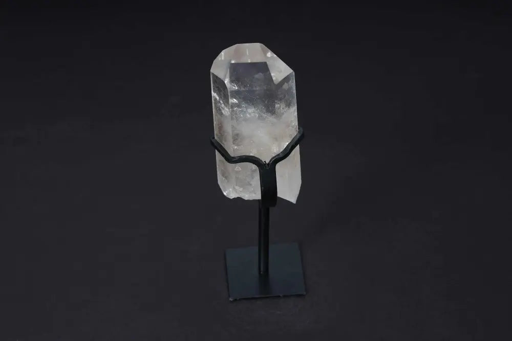 orbitvu|type:image2d