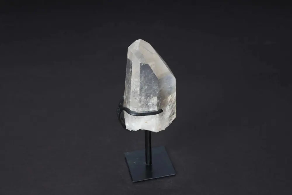 orbitvu|type:image2d