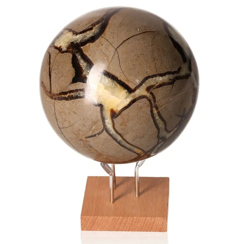 Septarian sphere on wooden stand, known as Dragon Stone, displaying intricate patterns and rich symbolism of power and endurance.