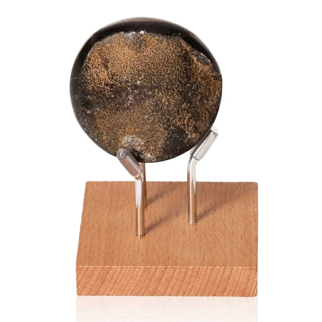 Septarian Dragon Stone on display stand, showcasing its unique mineral texture and symbolism of power and endurance.